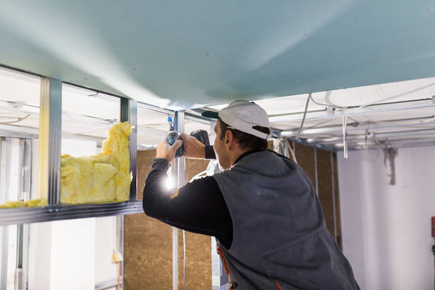 Best Cellulose Insulation in Shelby, MT