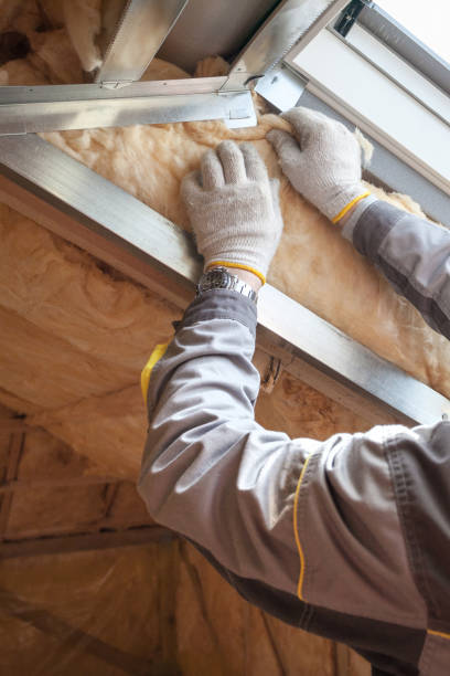Best Commercial Insulation in Shelby, MT